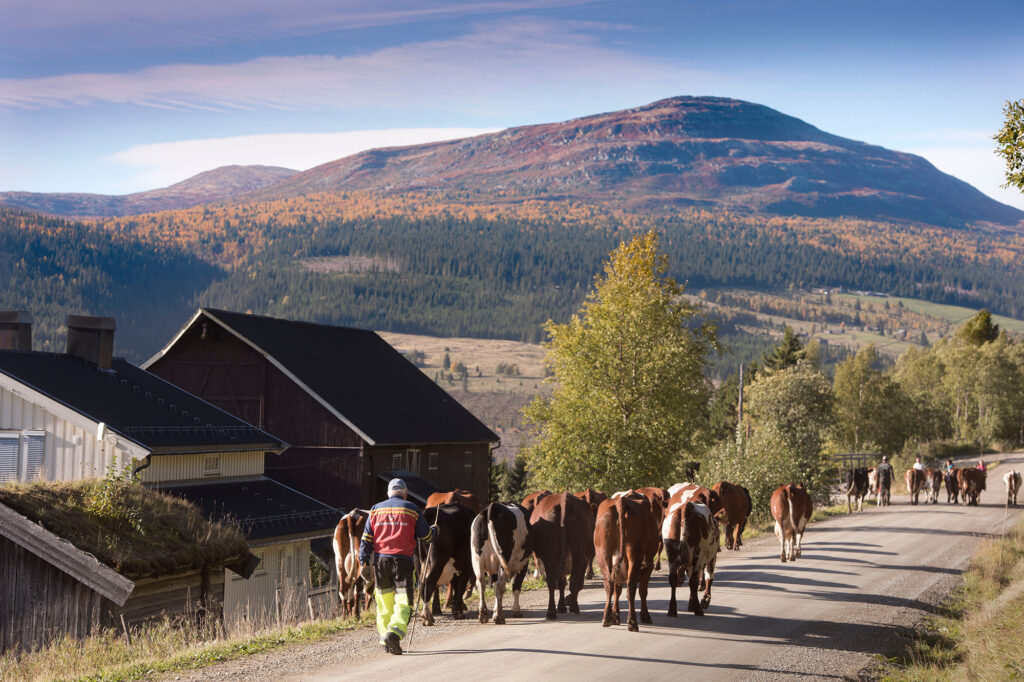 mpv406940-001-Mark-Pasvoor